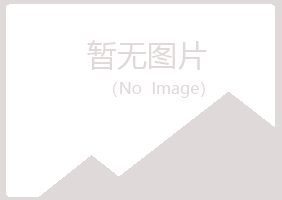 宝山区喧哗能源有限公司